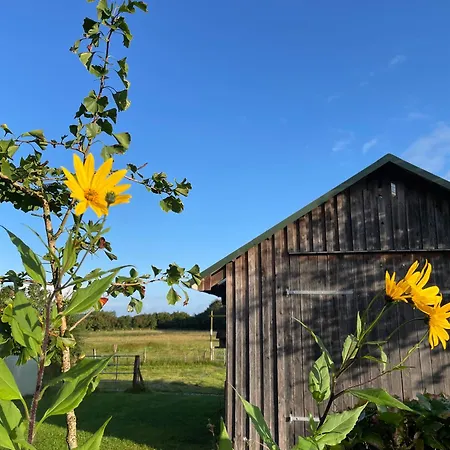 Appartamento Zirkuswagen Nahe Ostsee Und Schlei Wagersrott