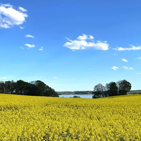 Zirkuswagen Nahe Ostsee Und Schlei Wagersrott
