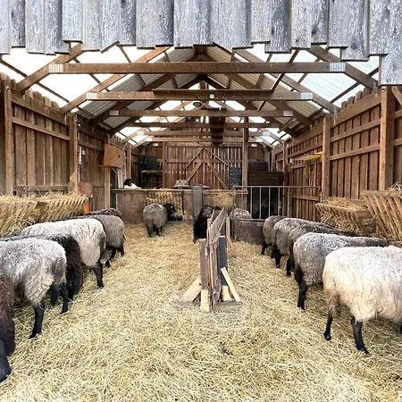 Zirkuswagen Nahe Ostsee Und Schlei Appartamento