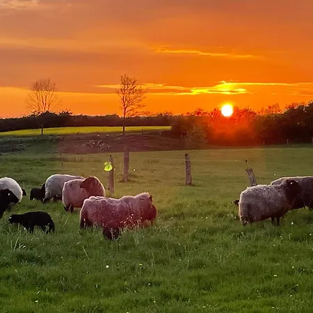 Zirkuswagen Nahe Ostsee Und Schlei Appartamento *