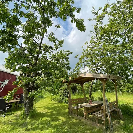 Apartamento Zirkuswagen Nahe Ostsee Und Schlei *