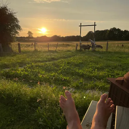 Zirkuswagen Nahe Ostsee Und Schlei * Wagersrott