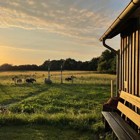 Zirkuswagen Nahe Ostsee Und Schlei Appartement